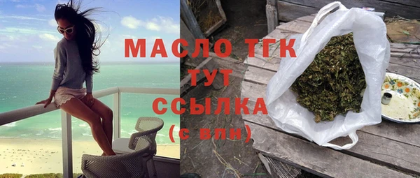 индика Баксан