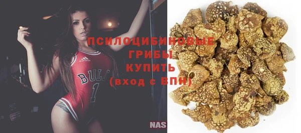 индика Баксан